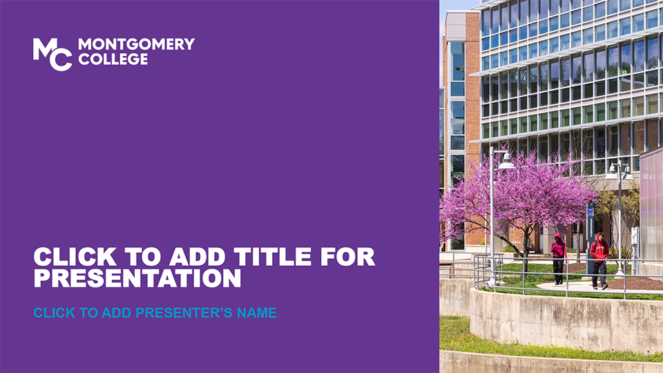 Image of the cover page for a PowerPoint template. A solid purple background on the left with white wording and an MC logo and an image of a building and a purple flowering tree with students on the right.